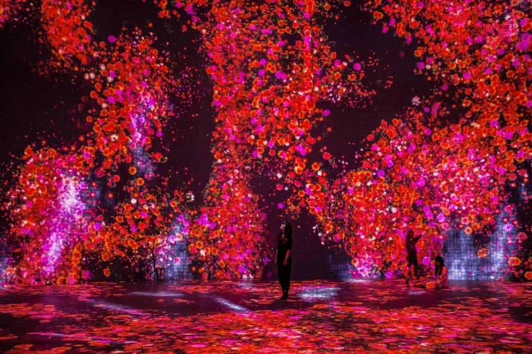 Superblue Miami features new and iconic installation by teamLab, Es ...