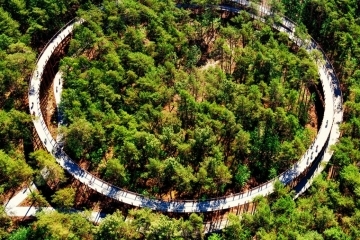 adf-web-magazine-dezeen-awards-2020--the design refers to a velodrome and the annual rings of a tree.
