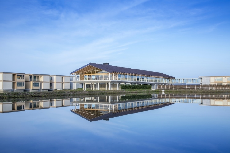 adf-web-magazine-suiden-terrasse-shigeru-ban
