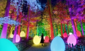 「チームラボ 偕楽園 光の祭」開催。日本三名園・偕楽園をインタラクティブな光のアート空間に