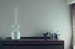 adf-web-magazine-tsutaya-supported-by-cado-9