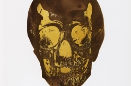 adf-web-magazine-straym-damien-hirst