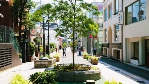 Tokyo Cat Street selected as one of the 30 coolest streets in the world -Time Out Tokyo reports