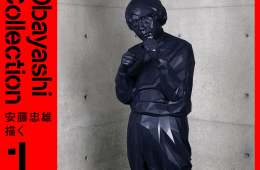 adf-web-magazine-tadao-ando-what-museum-terrada