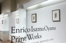adf-web-magazine-enrico-isamu-print-works