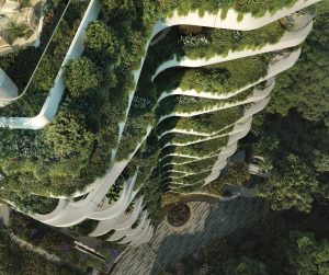 PLPアーキテクチャーによる「バイオフィリア」と「ウェルネス」がキーコンセプトの住宅プロジェクト「Park Nova」