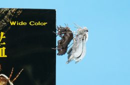 adf-web-magazine-tokyo-university-of-the-arts-picture-book-exhibition-wonderland-3