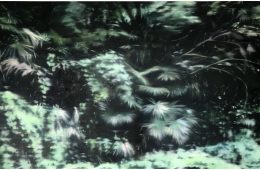 adf-web-magazine-oil-by-bijutsutecho-light-line-1