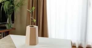 ソマノベースが誰もが山づくりに参加できる新しいカタチの観葉植物「戻り苗」を発売