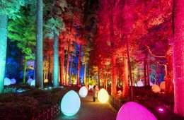 adf-web-magazine-team-labo-kairakuen-1