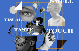 adf-web-magazine-6senses-experience-1