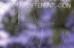 adf-web-magazine-next-curator's-competition-2021-3