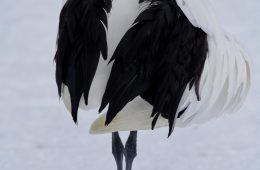 adf-web-magazine-yusuke-konishi-photo-exhibition