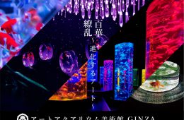 adf-web-magazine-art-aquarium-1