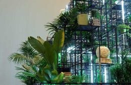 adf-web-magazine-exhibition-plateaus-1