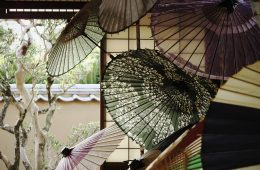 adf-web-magazine-machiya-townhouses