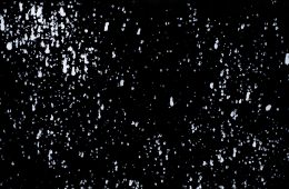 adf-web-magazine-contrast-ray-kunimoto-1