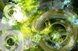 adf-web-magazine-ootemachi-no-mori-1