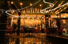 adf-web-magazine-sunnygo-1