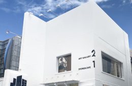 adf-web-magazine-somso-cgallery-7