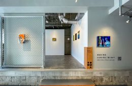 adf-web-magazine-akihiro-hasegawa's-receiving-light-facing-field-2