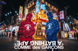 adf-web-magazine-bathing-ape-comme-des-garcons-1