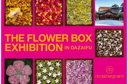 adf-web-magazine-flower-box-exhibition-9