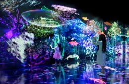 adf-web-magazine-galaxy-harajuku-1