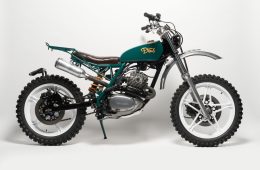 adf-web-magazine-green-envy-1