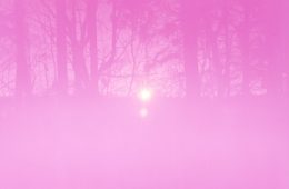 adf-web-magazine-yusuke-kikuchi-photo-exhibition-re-unclear