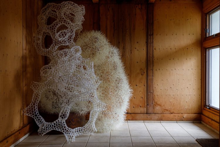 adf-wen-magazine-art-or-science-3