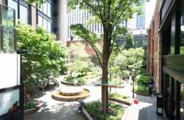 adf-web-magazine-art-urbanism-yau-1