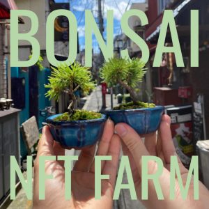 NFT購入で本物の盆栽が自宅に「BONSAI NFT CLUB」第二弾がリリース