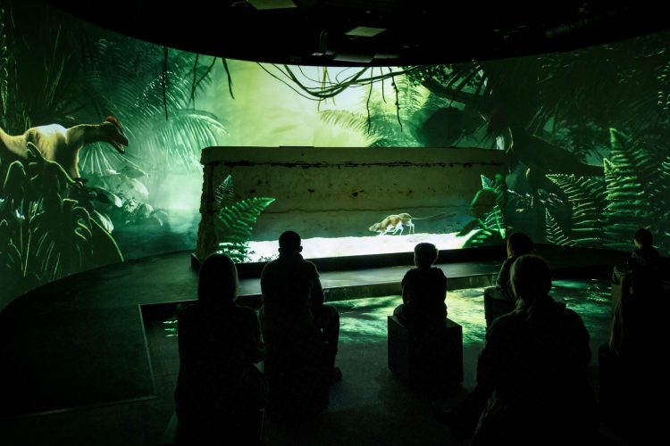 adf-web-magazine-stevns-klint-experience-tinker-imagineers-5