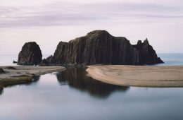 adf-web-magazine-taiza-tango-1