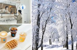 adf-web-magazine-blue-bottle-coffee-truck-nozawa-onsen-1