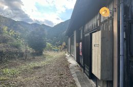 adf-web-magazine-arts-camp-hinohara-1