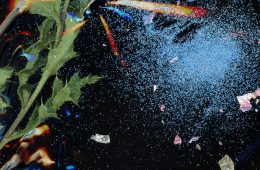 adf-web-magazine-kyoto-graphie-2