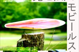 adf-web-magazine-light-wind-mobilescapes-2