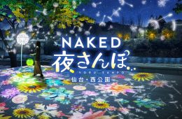 adf-web-magazine-naked-night-walk-sendai