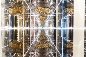 Wire-metallization marvel: Materica's immersive triumph "INTERNA_MENTE" fascinates Milano Design Week visitors