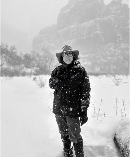 adf-web-magazine-watowa-gallery-back-to-nature-elephant-studio-2