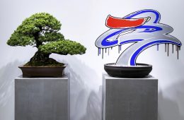 adf-web-magazine-watowa-gallery-super-trad-tradmans-sneakerwolf-1