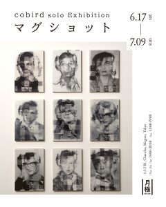 Contemporary Collage Artist "cobird" Solo Exhibition to be Held at Gallery Tsukigime