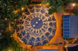 adf-web-magazine-darwin-bucky-2