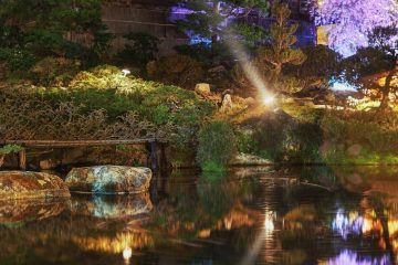 adf-web-magazine-hakone-gardens-the-dynamic-duo-exploring-the-interaction-of-light