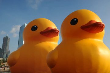 adf-web-magazine-rubber-duck-project-more-yellow-3