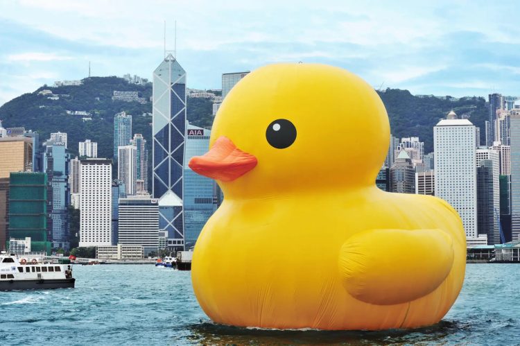 adf-web-magazine-rubber-duck-project-more-yellow-4