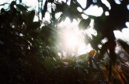 adf-web-magazine-yusuke-kikuchi-photo-exhibition