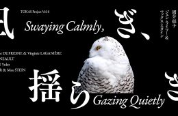 adf-web-magazine-tokas-pj6-1